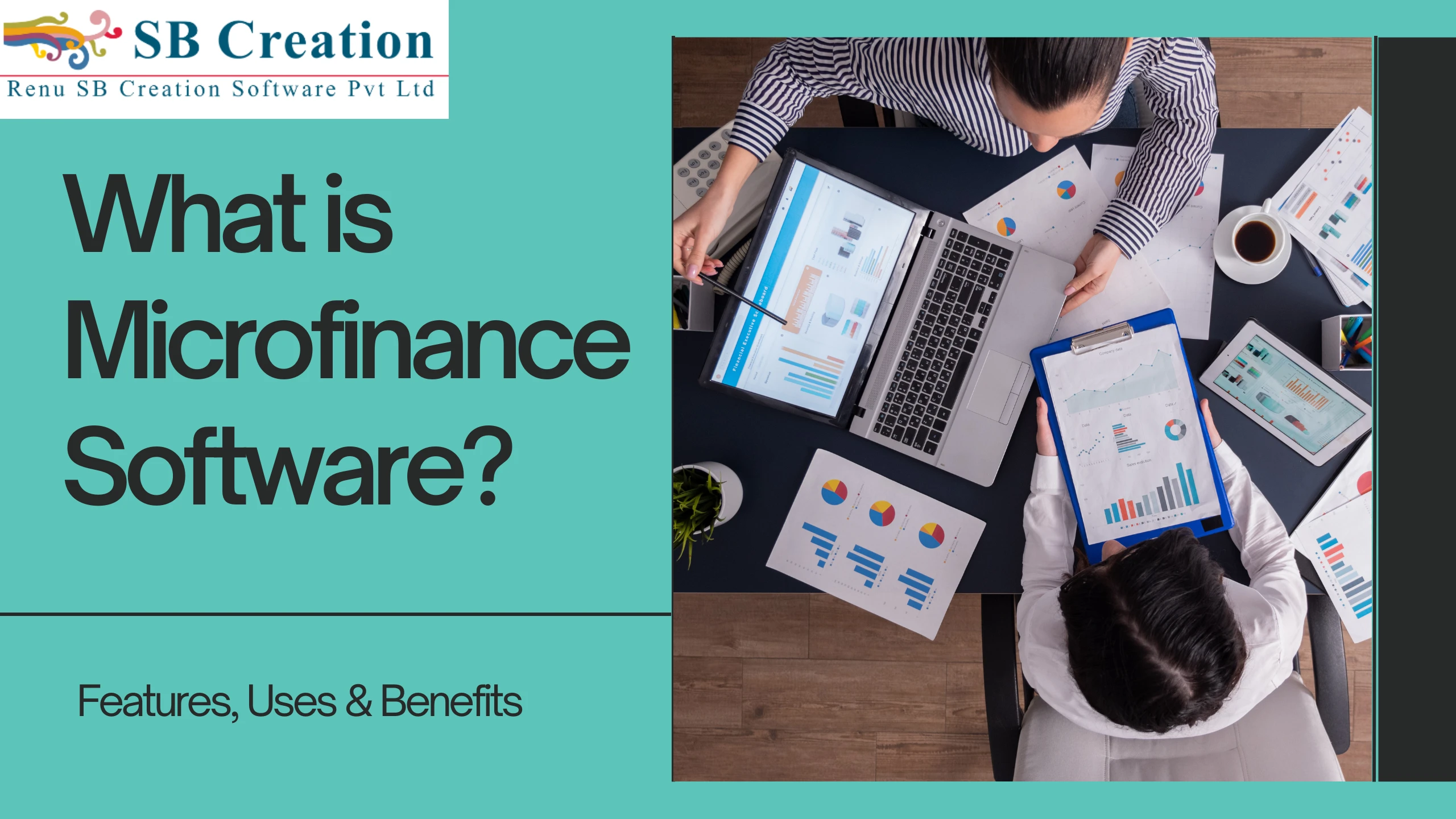 what is microfinance software?